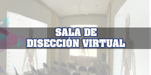 sala-diseccion-virtual